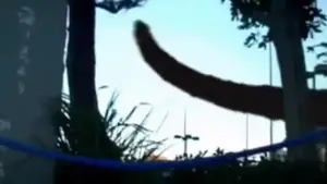 Видео к фильму Монстр | Monster Trailer 2008