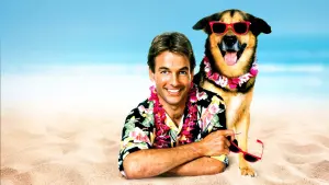 Задник к фильму "Летняя школа" #337489