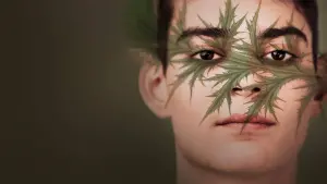 Задник к фильму "Шарлатан" #492766