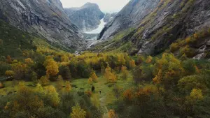 Задник к фильму "Fedrelandet" #192045