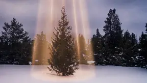 Задник к фильму "Рождественские каникулы" #676752