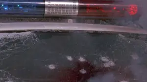 Задник к фильму "Бешеные псы" #602685