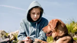 Задник к фильму "Белый Бог" #276207