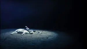Задник к фильму "Убить монгольскую лошадь" #914811