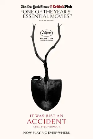 Постер к фильму "Простая случайность" #509112