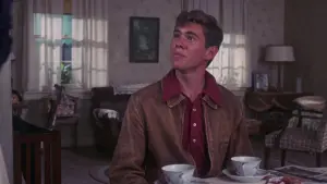 Задник к фильму "Лето 42-го" #356359