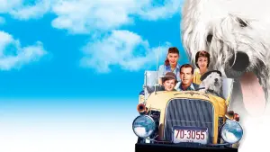 Задник к фильму "Лохматый пёс" #435491