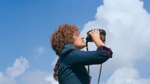 Задник к фильму "Орёл или решка?" #540762