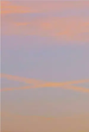 Постер к фильму "" #410043