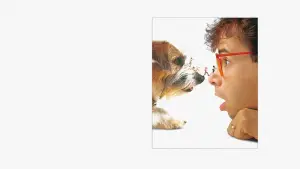 Задник к фильму "Дорогая, я уменьшил детей" #668526