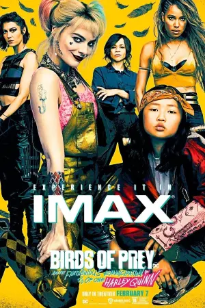 Постер к фильму "Хищные птицы: Потрясающая история Харли Квинн" #34913