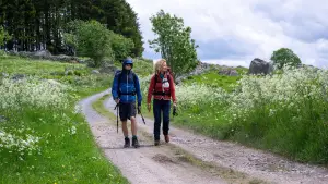 Задник к фильму "Compostelle" #796468