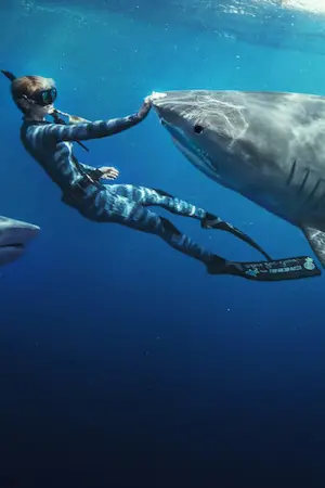 Постер к фильму "ЗАКЛИНАТЕЛЬНИЦА АКУЛ" #793241