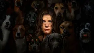 Задник к фильму "Ночная сучка" #643583