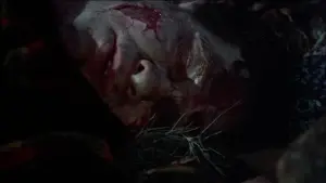 Задник к фильму "Лягушки" #482868