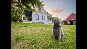 Задник к фильму "" #733605