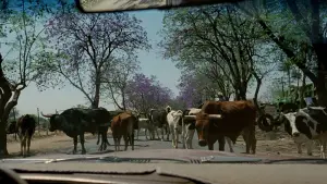 Задник к фильму "И твою маму тоже" #698370