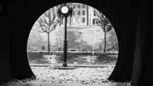 Задник к фильму "Ла-Ла Ленд" #502919