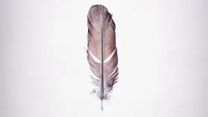 Видео к фильму Tickled | Tickled (HBO Documentary Films)