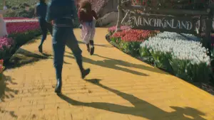 Задник к фильму "Злая: Часть первая" #529794