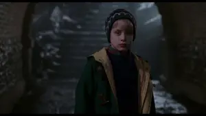 Задник к фильму "Один дома 2: Затерянный в Нью-Йорке" #567436