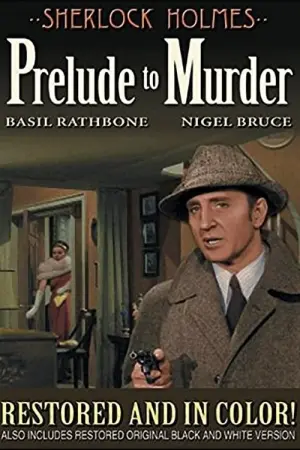 Постер к фильму "Шерлок Холмс: Прелюдия к убийству" #158195