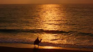 Задник к фильму "Лоуренс Аравийский" #402018