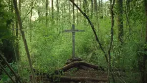 Задник к фильму "Дьявол всегда здесь" #713600