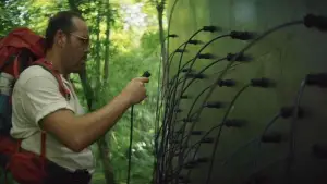 Задник к фильму "Падшие" #651975