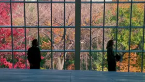 Задник к фильму "Когда Гарри встретил Салли" #665180