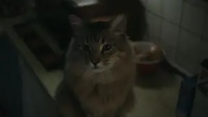 Задник к фильму "Пойман с поличным" #527883