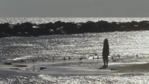 Задник к фильму "Willow World" #777814