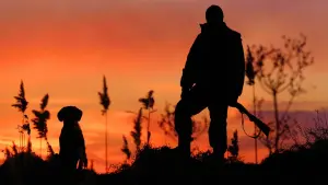 Задник к фильму "" #470658