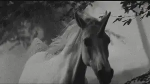 Задник к фильму "Бегущий по лезвию" #563424