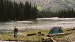 Задник к фильму "Горбатая гора" #520842