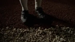 Задник к фильму "Поле чудес" #719606