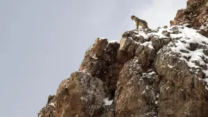 Задник к фильму "" #390736