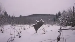 Задник к фильму "" #444887