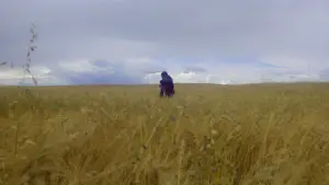 Задник к фильму "Супермен" #631351