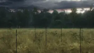 Задник к фильму "Аннигиляция" #618573