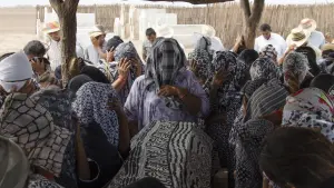 Задник к фильму "Перелётные птицы" #469406