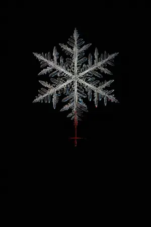 Постер к фильму "Сторожка" #710812