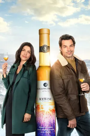 Постер к фильму "The Perfect Pairing"