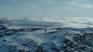 Задник к фильму "" #197302