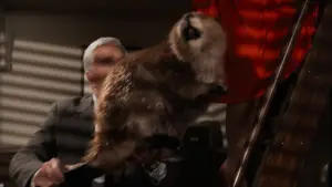 Задник к фильму "Голый пистолет: Из полицейских архивов" #637883