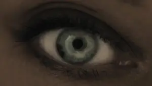 Задник к фильму "В потерянных землях" #579340