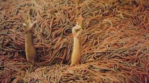 Задник к фильму "Черви" #727683