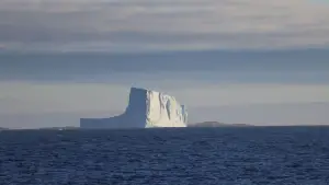 Задник к фильму "Антарктида" #670573