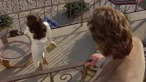 Задник к фильму "Подставное тело" #648183