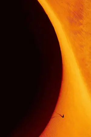 Постер к фильму "Дюна" #413181